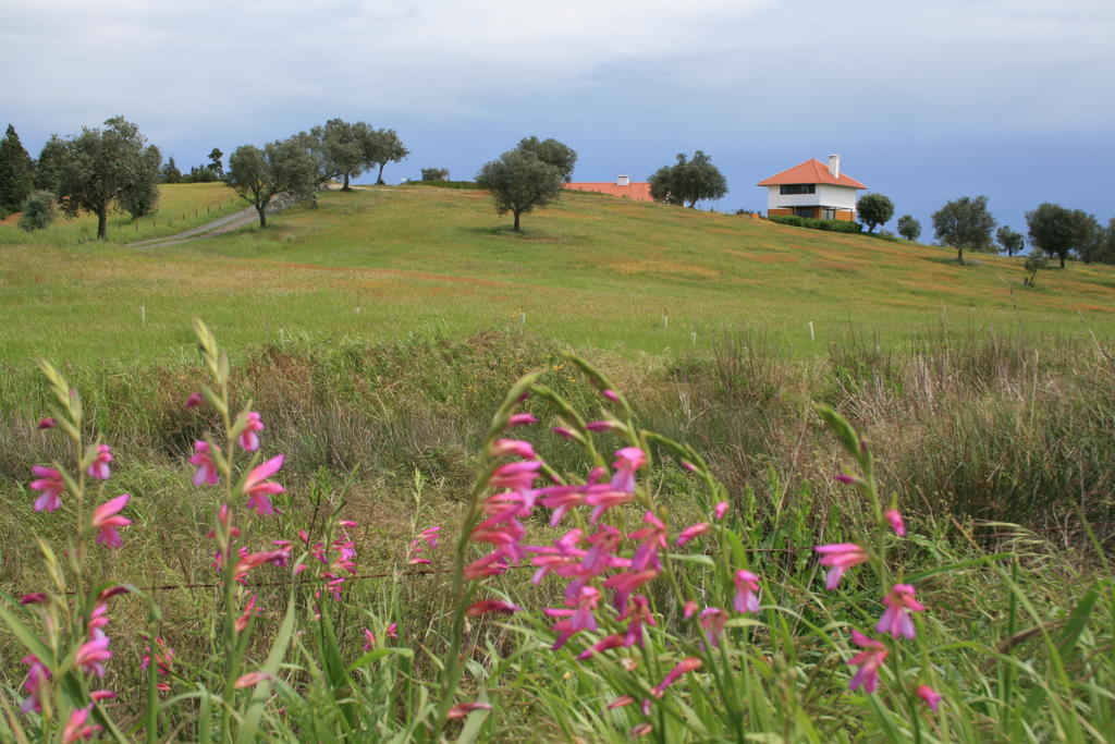 O Vale Da Mudanca Villa Monte da Pedra Alva Værelse billede